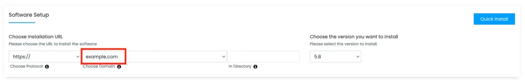 Screenshot: Software Setup Form with 'Choose Domain' Drop-Down List