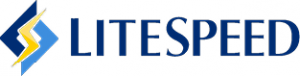 Meet Our Partner - LiteSpeed