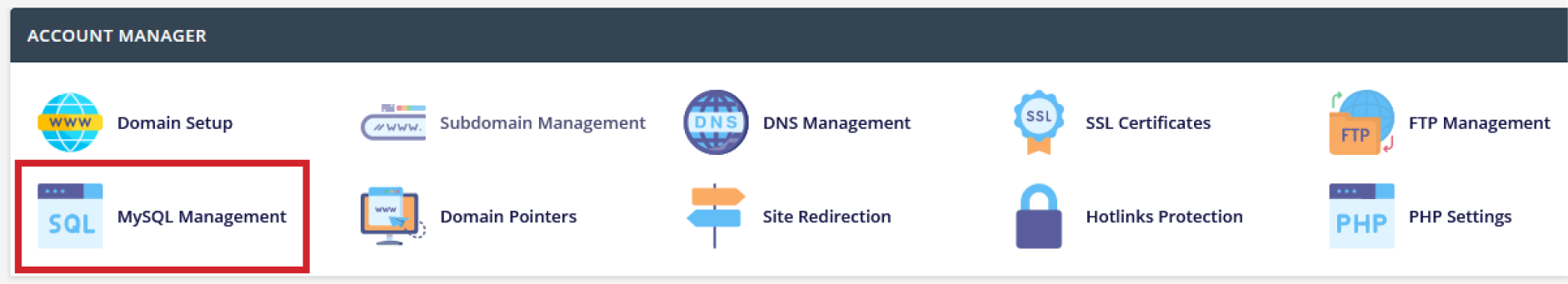 Screenshot: Account Manager Section of Control Panel