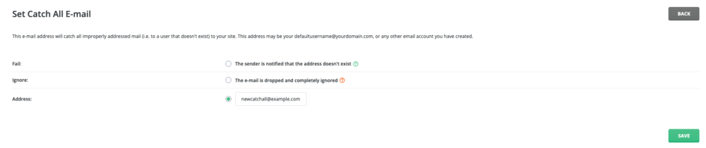 Setting a New Catch-All Email Address Using the Set Catch-All Email Settings Form