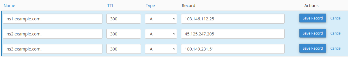 Screenshot: Completed Form with Example of New Custom Nameservers
